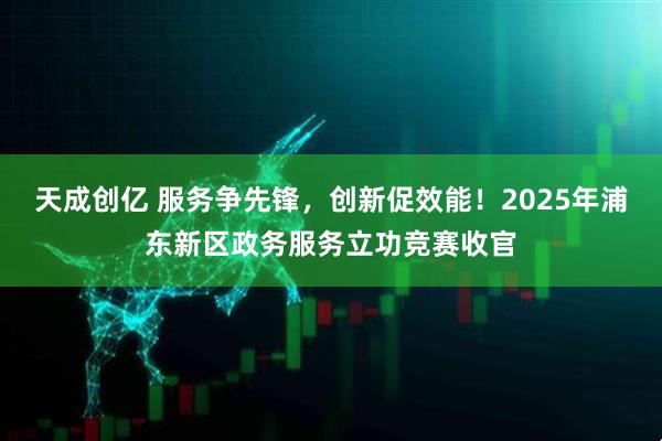 天成创亿 服务争先锋，创新促效能！2025年浦东新区政务服务立功竞赛收官