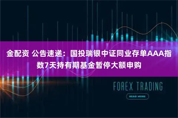 金配资 公告速递：国投瑞银中证同业存单AAA指数7天持有期基金暂停大额申购