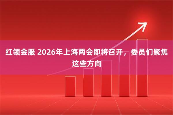 红领金服 2026年上海两会即将召开，委员们聚焦这些方向