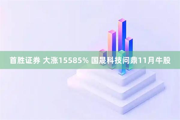 首胜证券 大涨15585% 国晟科技问鼎11月牛股