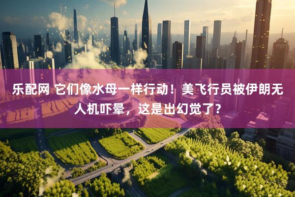 乐配网 它们像水母一样行动!美飞行员被伊朗无人机吓晕,这是出幻觉了?