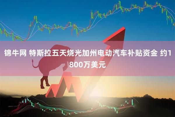 锦牛网 特斯拉五天烧光加州电动汽车补贴资金 约1800万美元