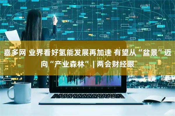 嘉多网 业界看好氢能发展再加速 有望从“盆景”迈向“产业森林” | 两会财经眼